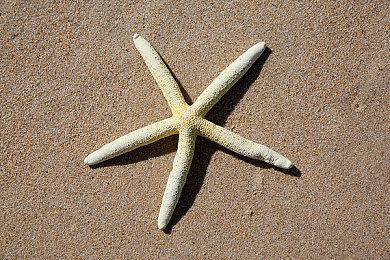 高难度平台跳跃类游戏《摇摆地牢》开启抢先体验